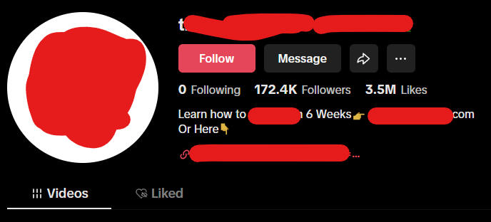172.4K Followers, 3.5M Likes - US TikTok Account